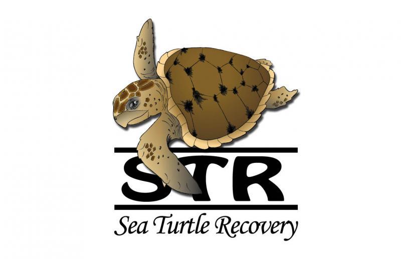 https://jenkinsons.com/aquarium/wp-content/uploads/sites/2/2018/04/Sea-Turtle-Recovery.jpg