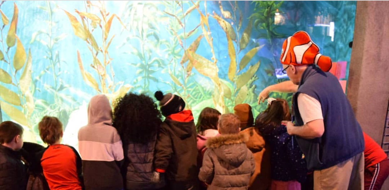 Group Rates Aquarium