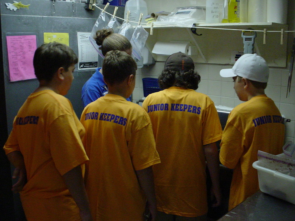 A group of Jenkinson's Junior Aquarium Keepers in yellow shirts.