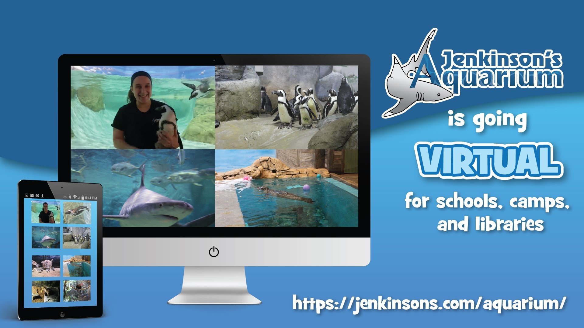 Jenkinson's Aquarium Virtual Animal Showings