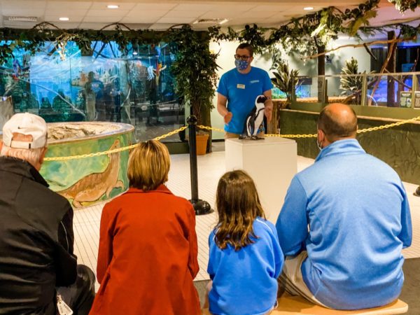 Aquarium worker showing off one of the penguins to a crowd.