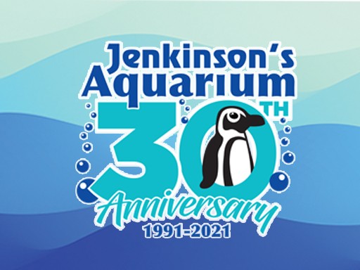 jenkinson's aquarium 30th anniversary