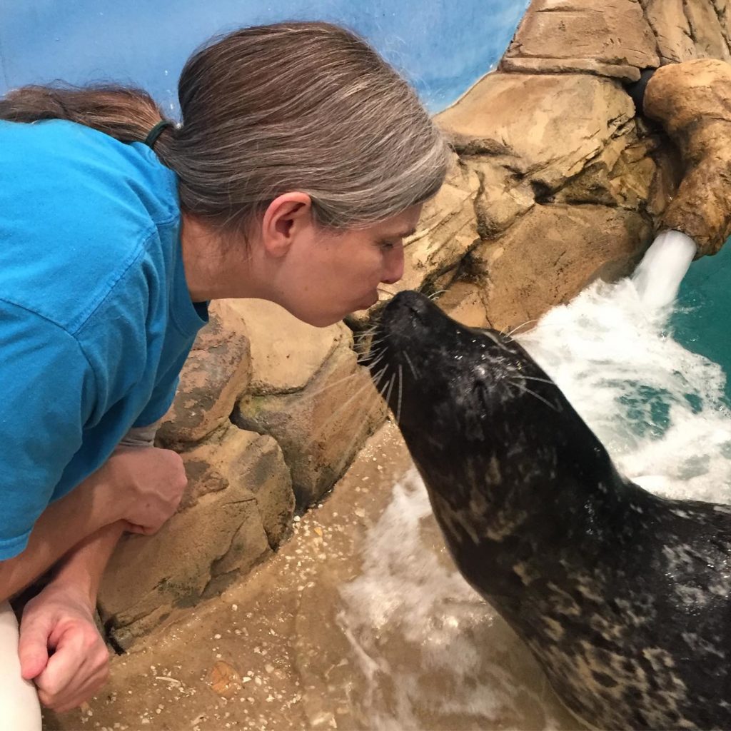 Carol the Seal giving Aquarium staff member a kiss!