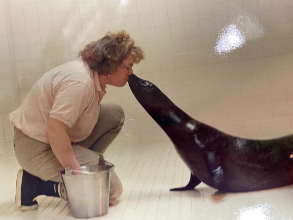 Jenkinson's Aquarium employee feeds Cindy the Seal.