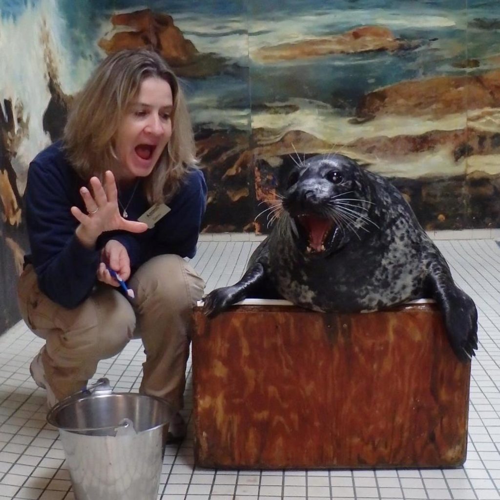 Jenkinson's Aquarium employee Danni with one of the seals.