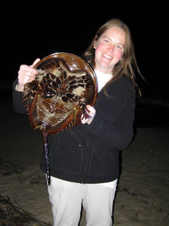 Jenkinson's Aquarium employee Laura holding a giant horseshoe crab.