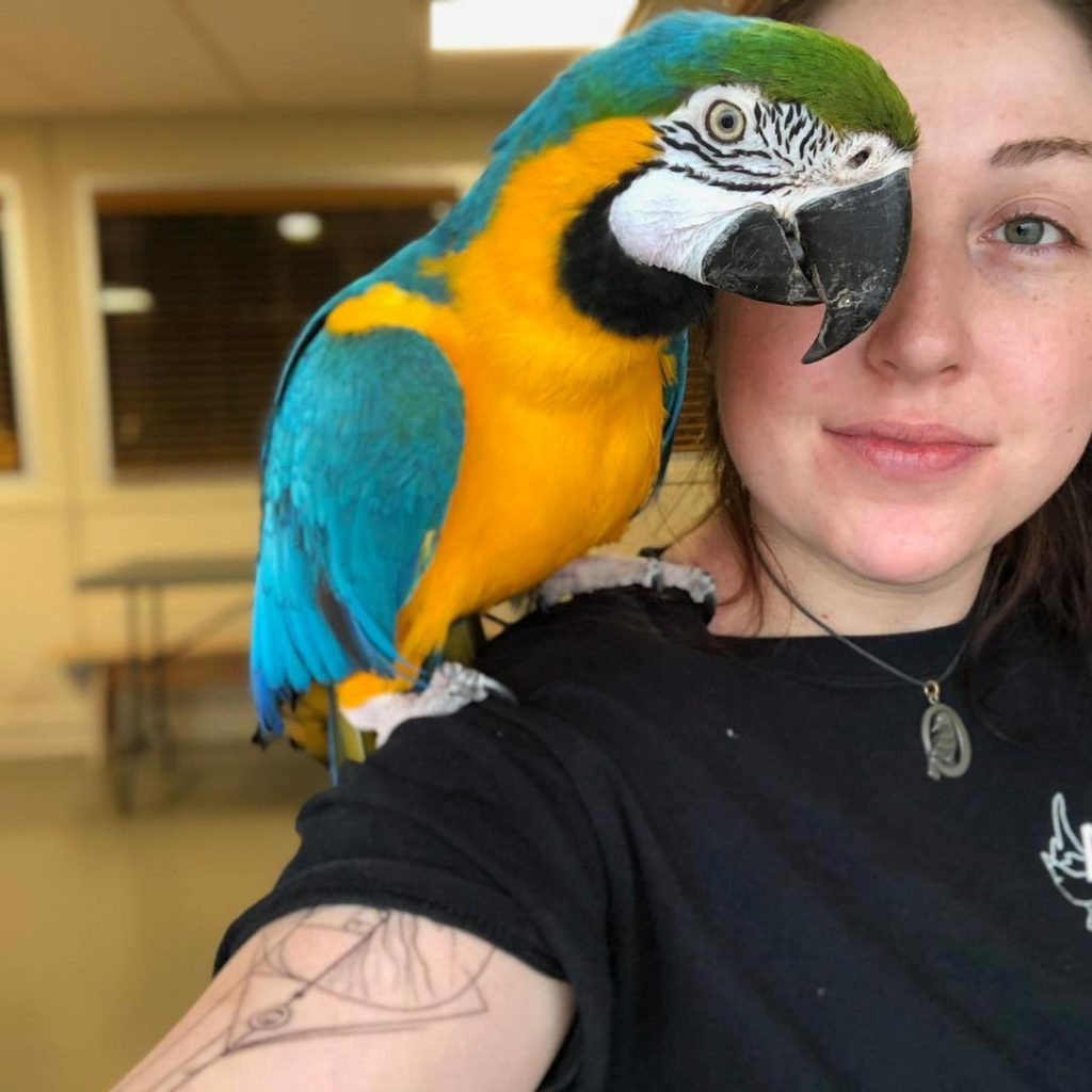 Jenkinson's employee Nicole posing with a Blue Macaw on her shoulder.