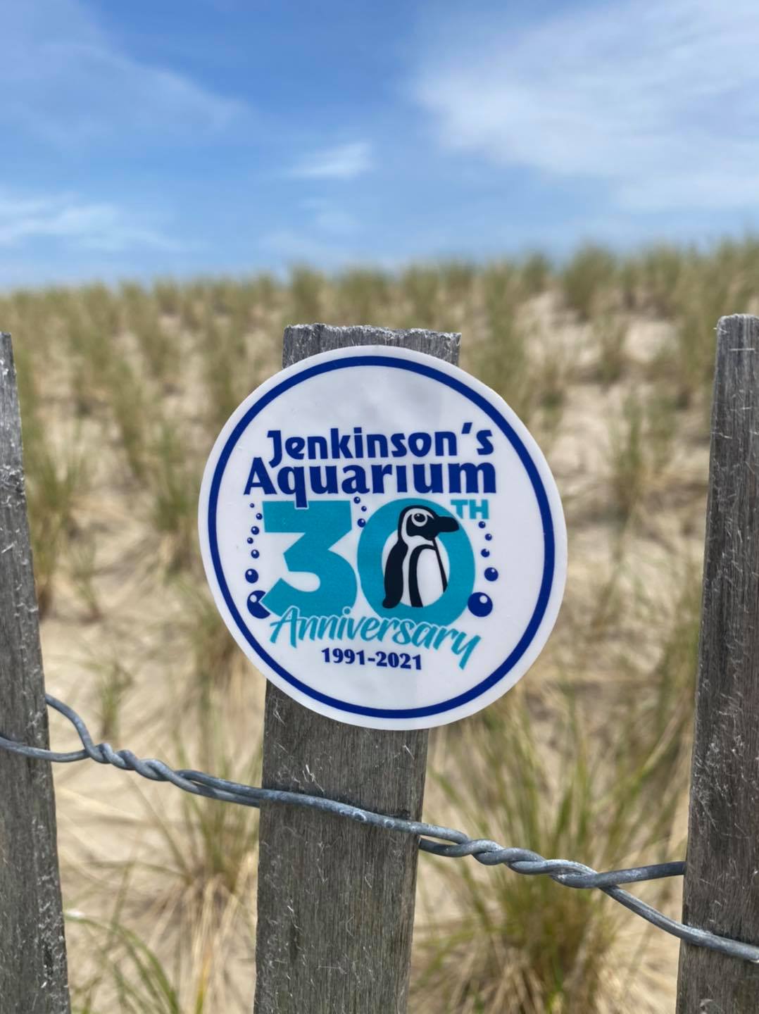 jenkinson's aquarium 30th anniversary sticker