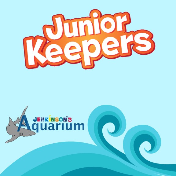 junior keepers at jenkinson's aquarium