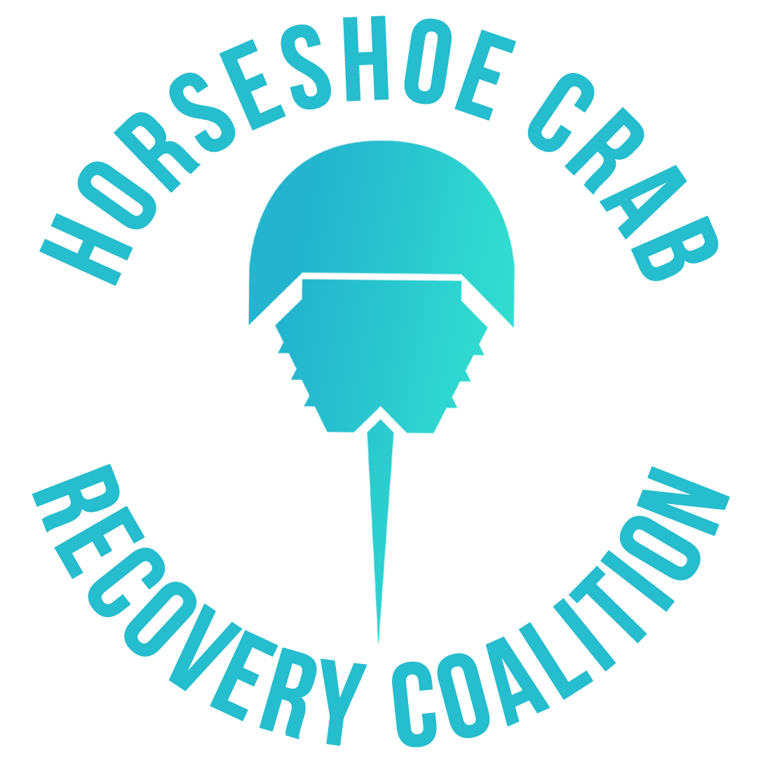 horseshoe crab recovery coalition