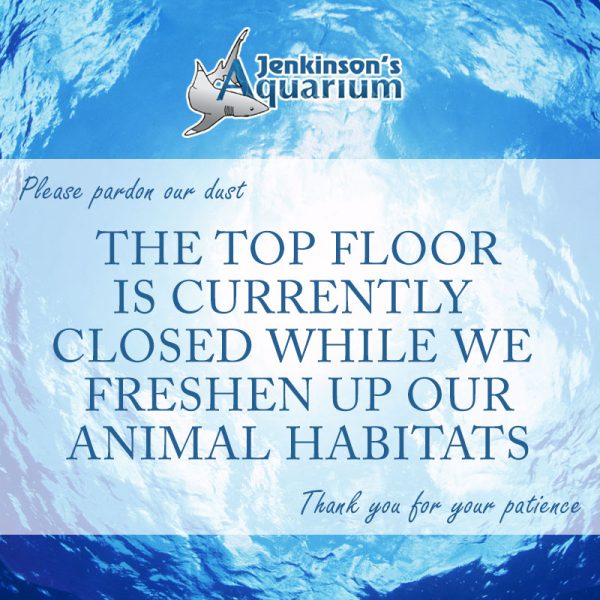 Please pardon our dust. The top floor of the aquarium is currently closed while we freshen up our animal habitats. Thank you for your patience.