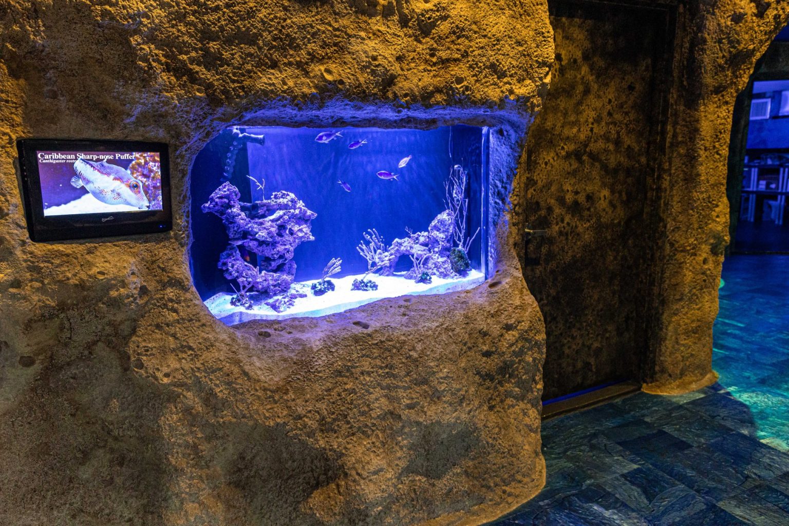 Internships Aquarium