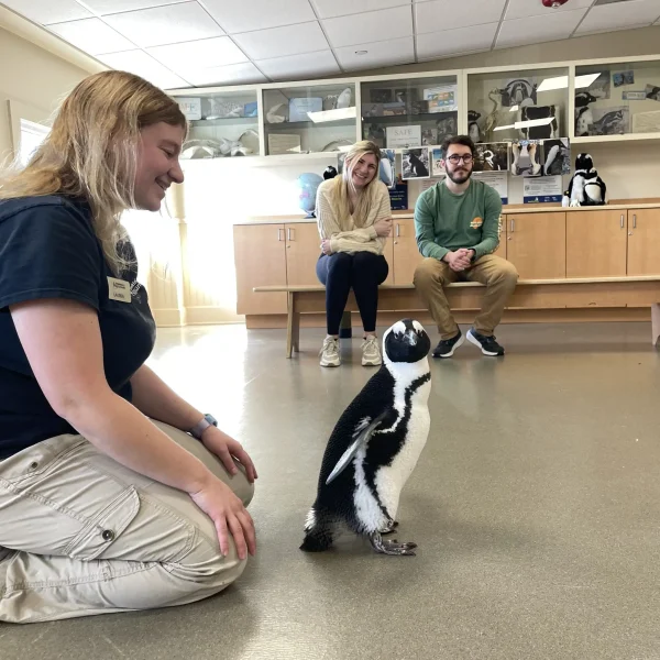 1. A colorful bouquet of assorted flowers in a glass vase on a wooden table.
