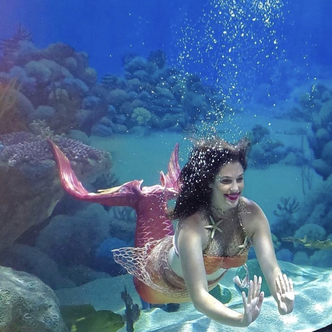 Mermaid Brizo’s Ocean Explorers
