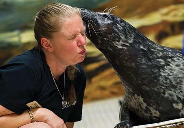 Sequin the Seal giving Aquarium employee Katie a kiss.