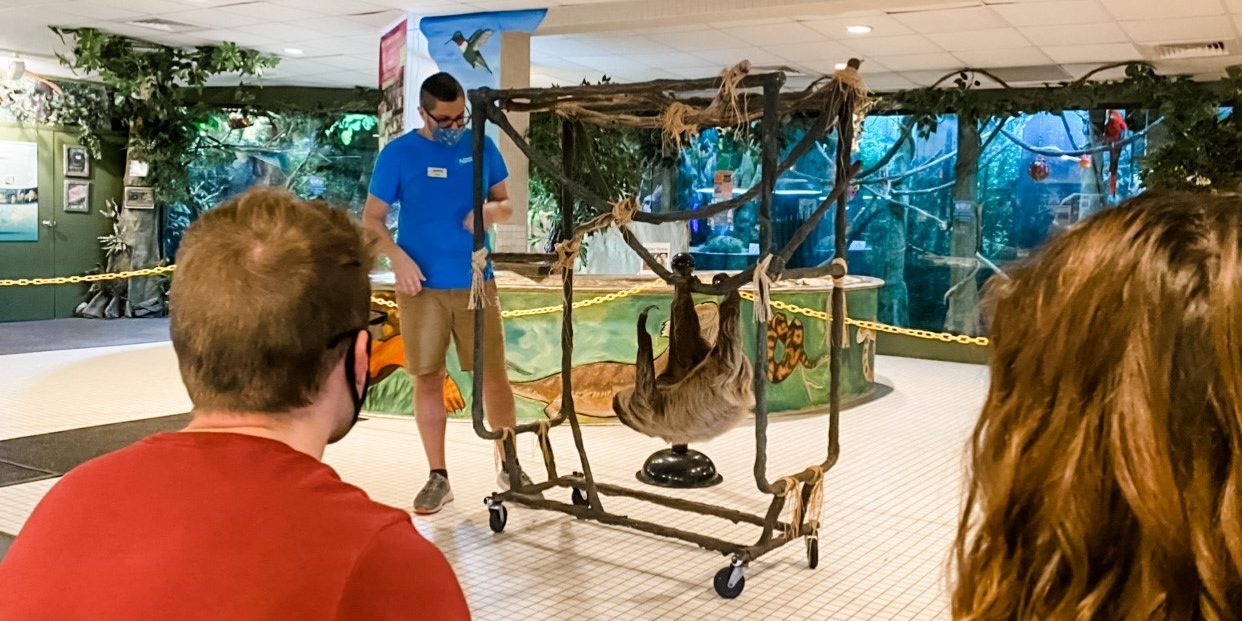 jenkinson's aquarium sloth program