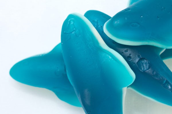 Blue Shark Gummies from Jenkinson's Sweet Shop.
