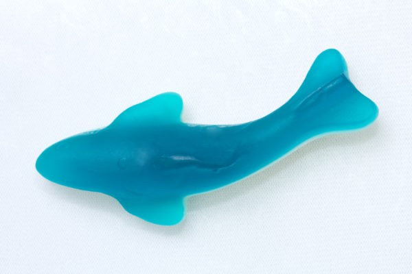 One Blue Shark Gummy from Jenkinson's Sweet Shop.
