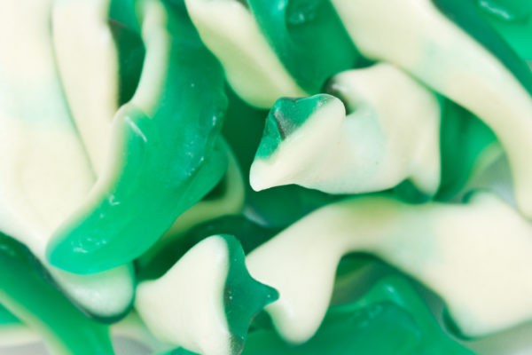 A bunch of blue-green Shark Gummies