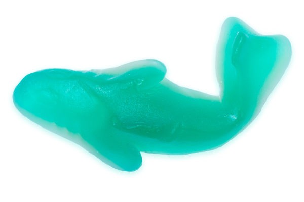 A single blue gummy shark.