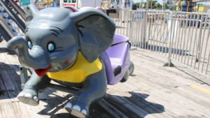 Elephants Ride at Jenkinson's Boardwalk