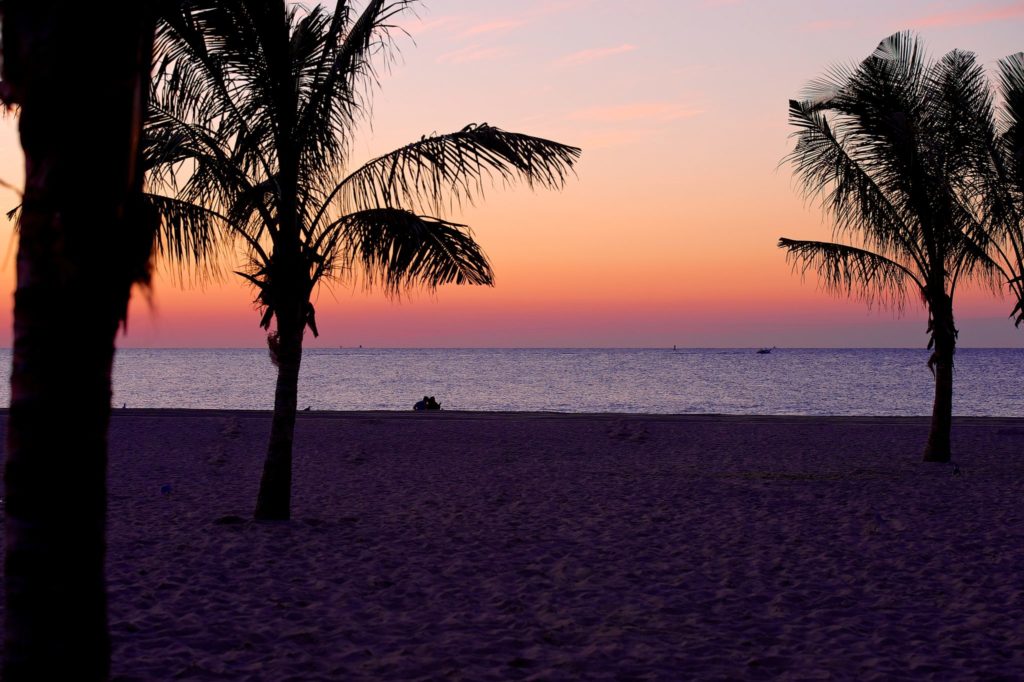 Sunset at Jenkinson's Beach with Palm Trees.