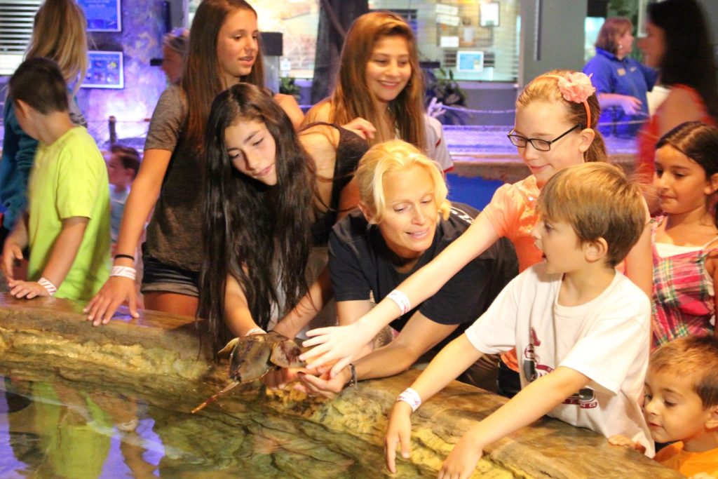 People touching a sting ray at Jenkinson's Aquarium