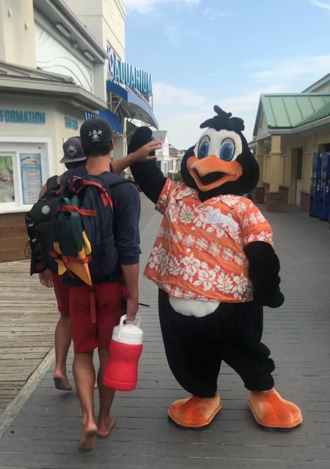 Perky the Penguin from Jenkinson's Boardwalk giving two employees a high five.