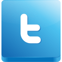 A picture of the Twitter icon.
