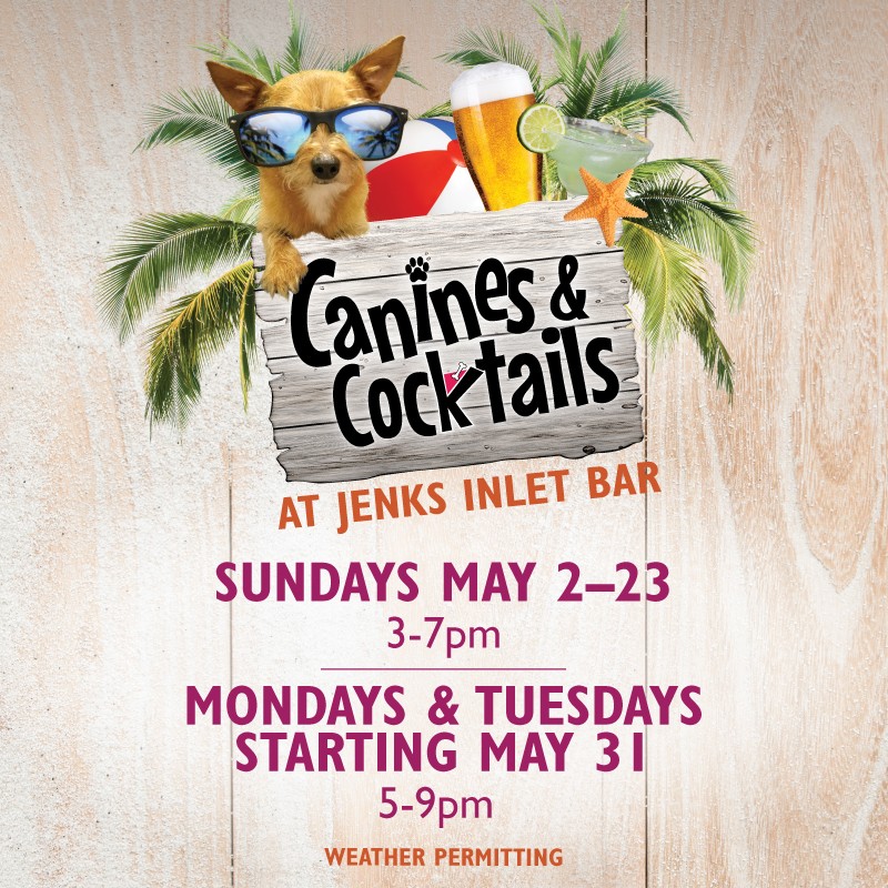 canines & cocktails at jenks inlet bar