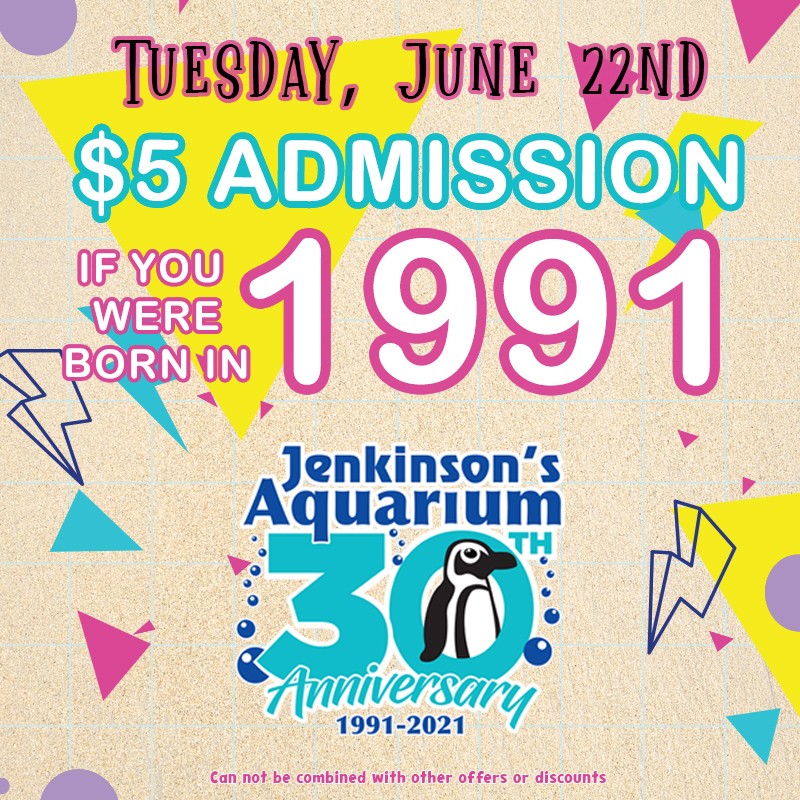 jenkinsons' aquarium 30th anniversary