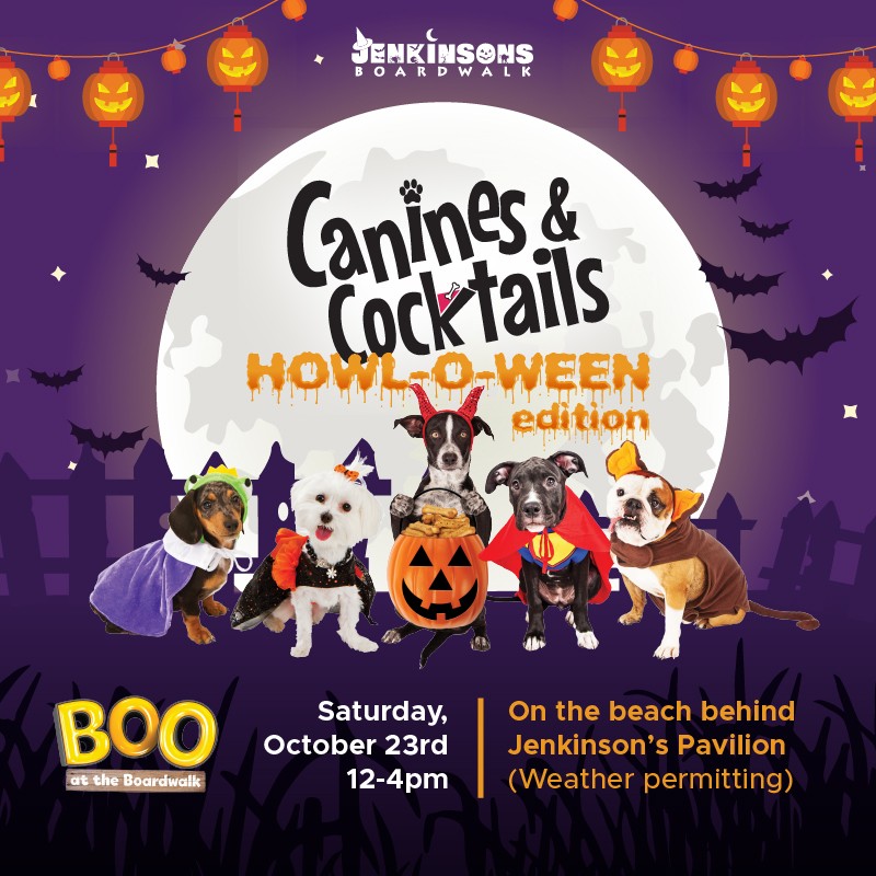 canines & cocktails howl-o-ween jenkinson's