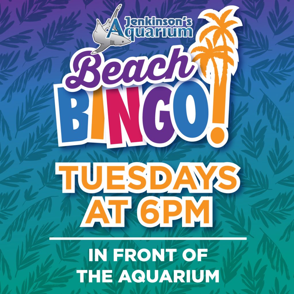 jenkinson's aquarium beach bingo tuesdays at 6pm