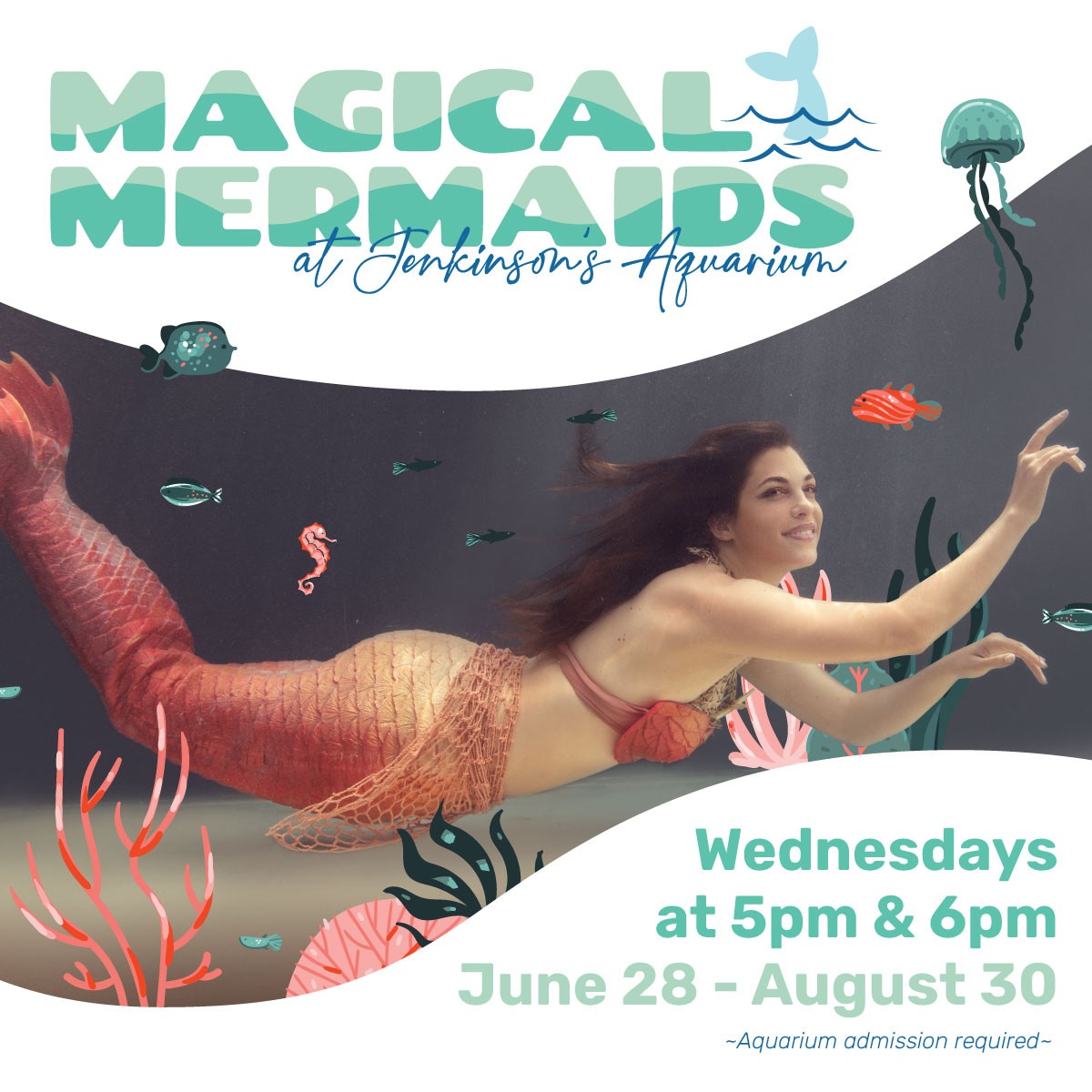 magical mermaids at jenkinsons aquarium every wednesday this summer