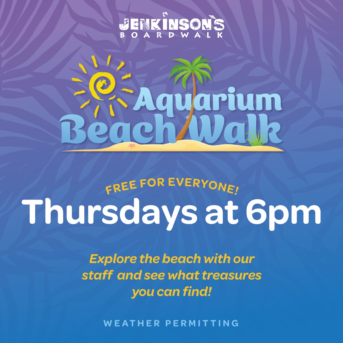 jenkinsons aquarium beach walks on thursdays at 6pm