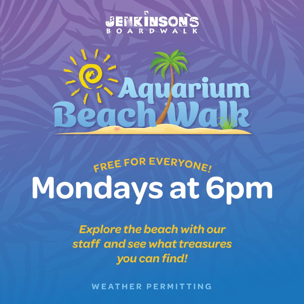 aquarium beach walk on mondays at 6pm