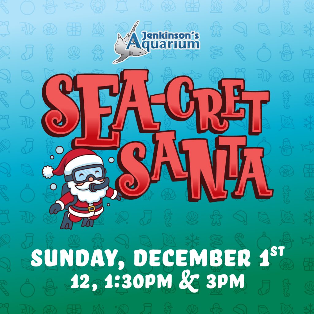 seacret santa at jenkinsons aquarium on december 1st