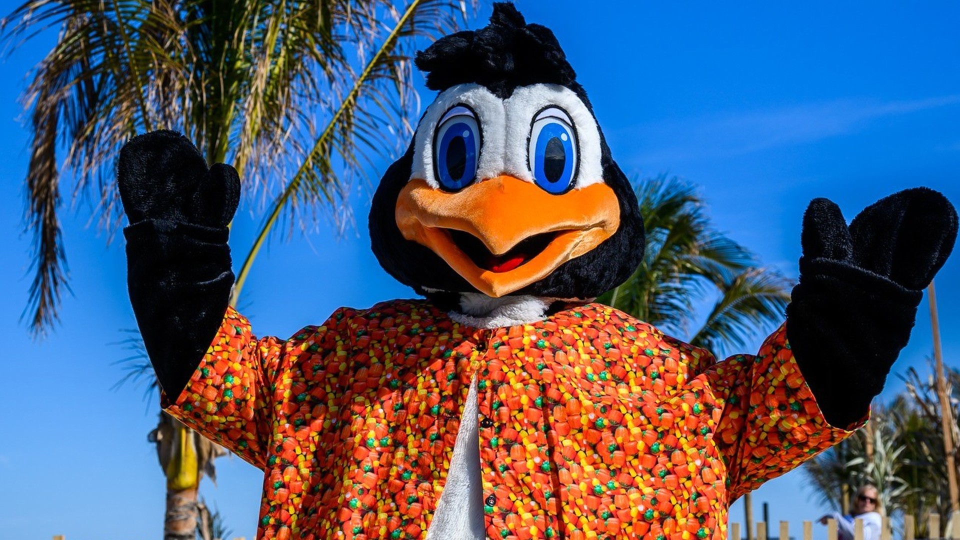 Perky the Penguin in an orange shirt