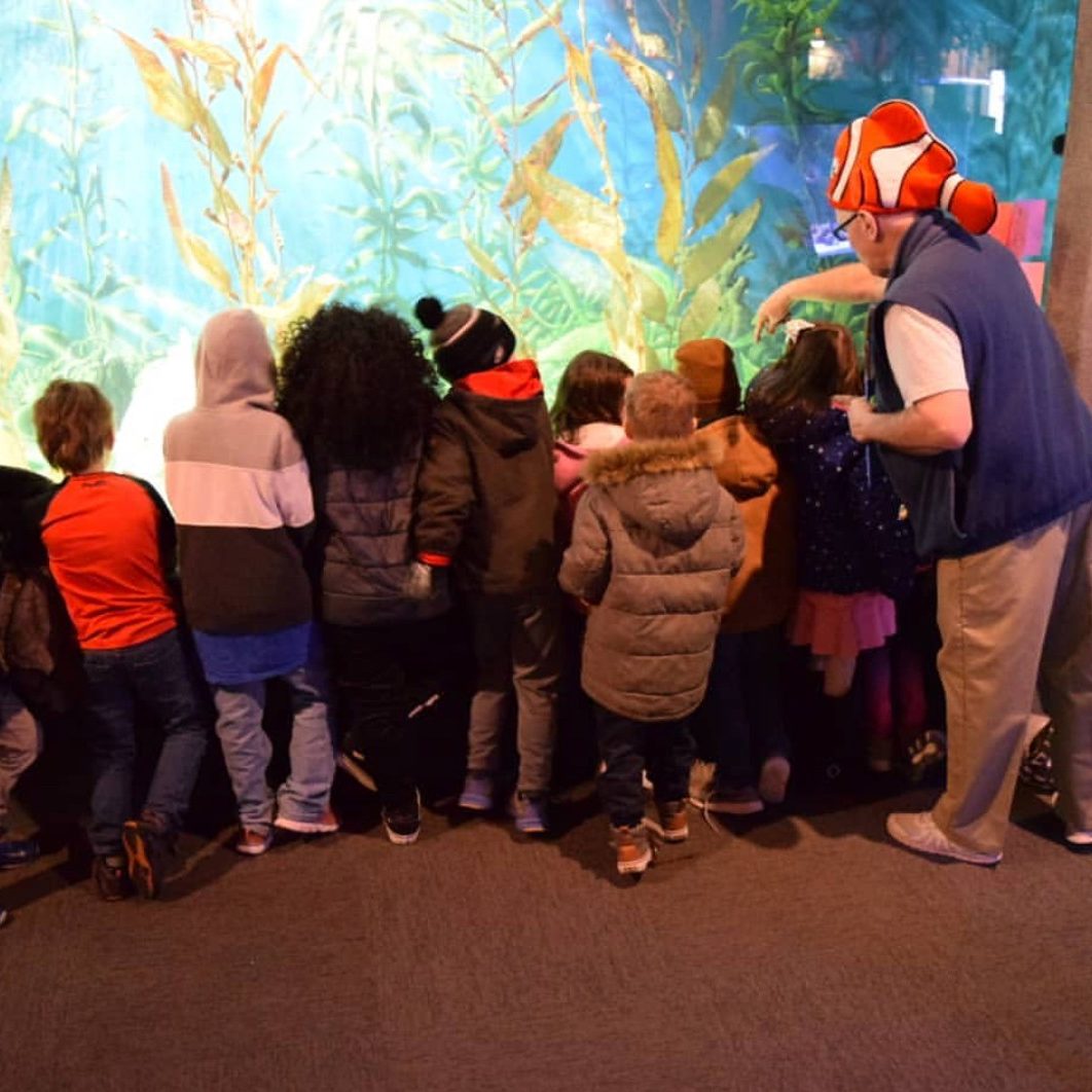 A group of children and their teach look at fish at Jenkinson's Aquarium